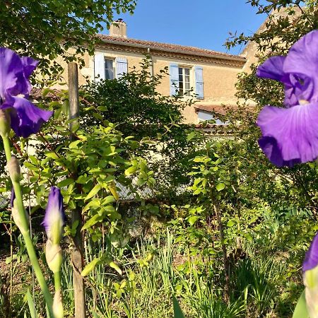 Le Petit Cochon Valence-sur-Baise Exterior foto