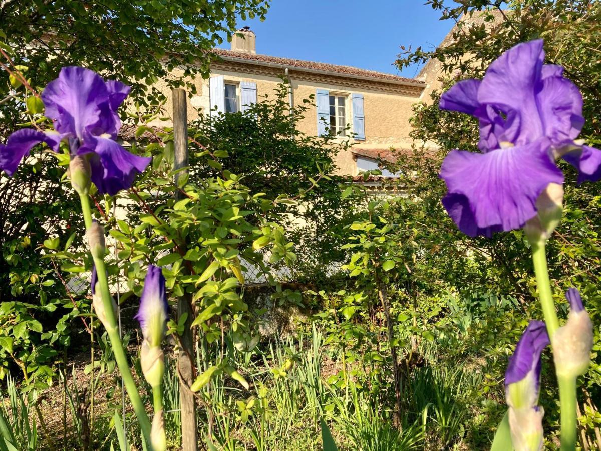 Le Petit Cochon Valence-sur-Baise Exterior foto